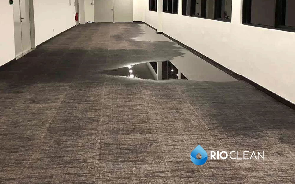 Carpete atingido por água em um ambiente interno